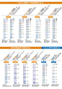 生工生物蛋白marker加強版限時促銷——優質生命科學產品與技術服務助力科研創新